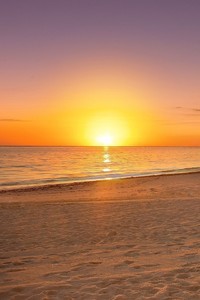 开云kaiyun体育app入口登录官网-利物浦重振雄风主场取胜