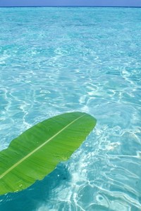 云开体育官网-记者：水晶宫将会就欧足联决定上诉，诺丁汉森林欧联资格仍存疑