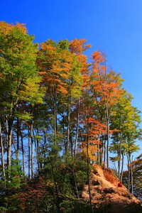开云体育直播平台-欧预赛又一壮举，国家队打破历史记录
