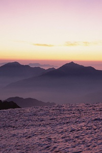 开云体育app官网下载地址-今晚就到！罗马诺独家照片：塞斯科与经纪人已飞往曼彻斯特，罗马诺是谁