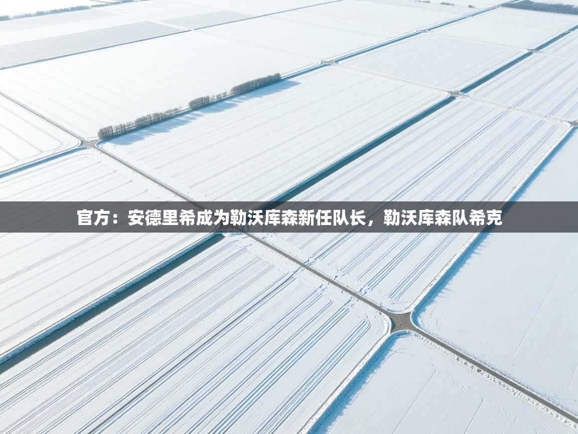 开云体育入口注册-官方：安德里希成为勒沃库森新任队长，勒沃库森队希克