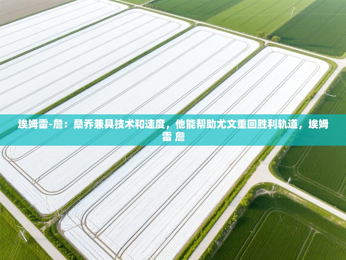 开云体育多语言中文版-埃姆雷-詹：桑乔兼具技术和速度，他能帮助尤文重回胜利轨道，埃姆雷 詹  第1张