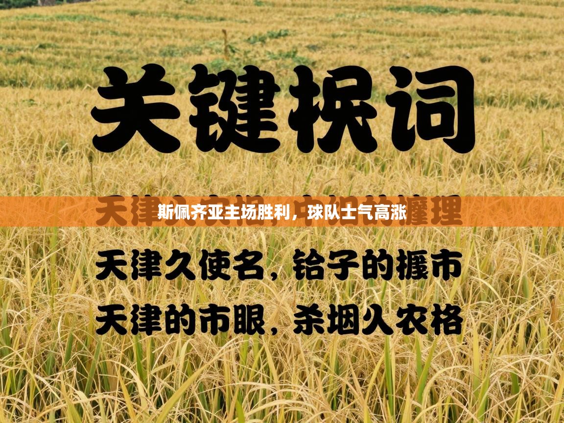 云开体育app网页版入口-斯佩齐亚主场胜利，球队士气高涨  第2张