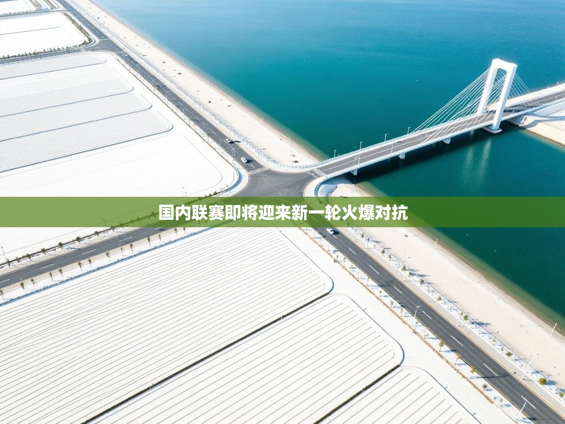 开云体育iOS安装教程-国内联赛即将迎来新一轮火爆对抗  第1张