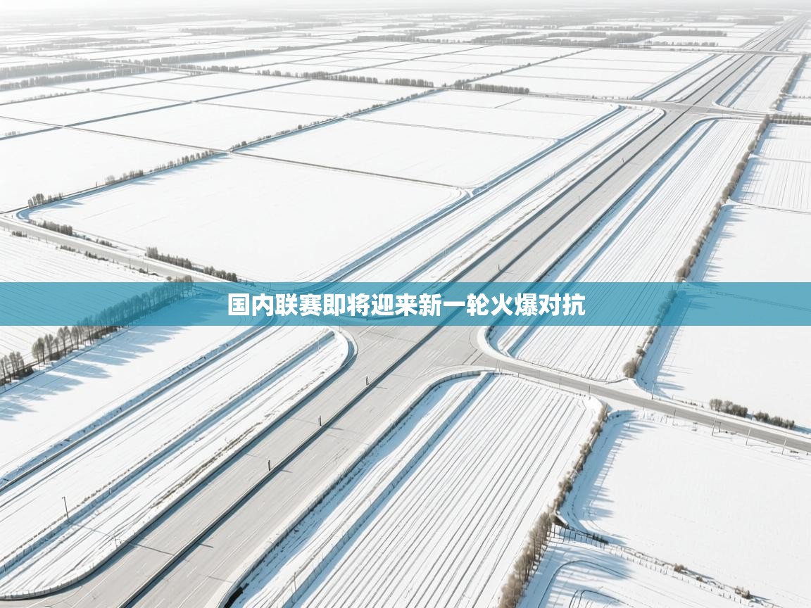 开云体育iOS安装教程-国内联赛即将迎来新一轮火爆对抗  第4张