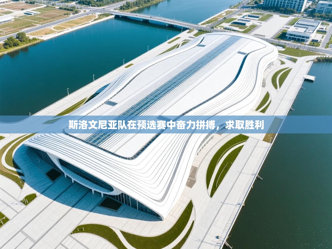 开云赛事-斯洛文尼亚队在预选赛中奋力拼搏,求取胜利 第1张