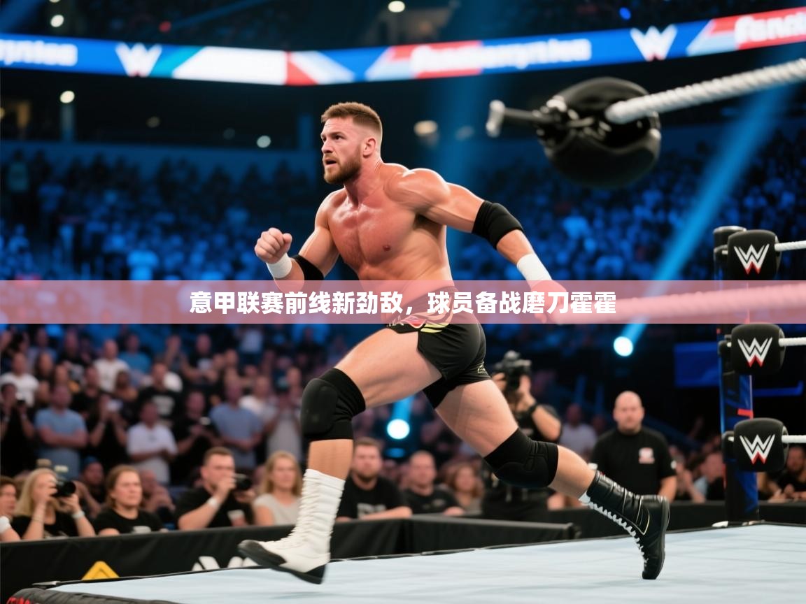 开云体育忘记密码找回-意甲联赛前线新劲敌，球员备战磨刀霍霍  第2张