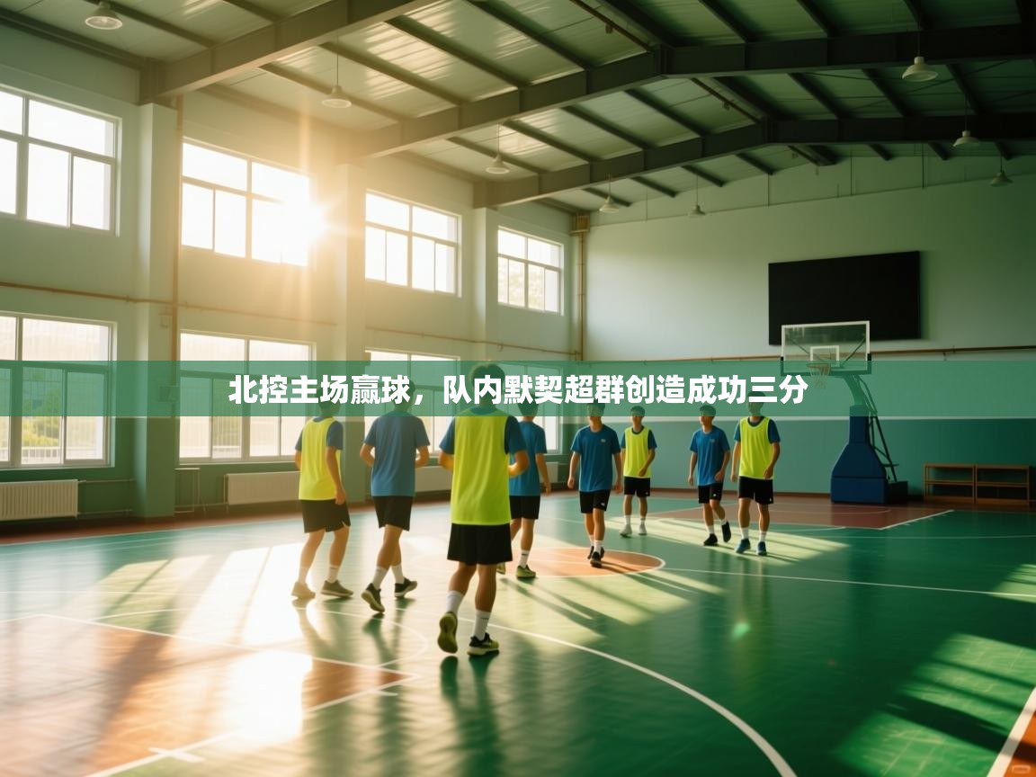 开云体育极速下载镜像-北控主场赢球,队内默契超群创造成功三分 第4张