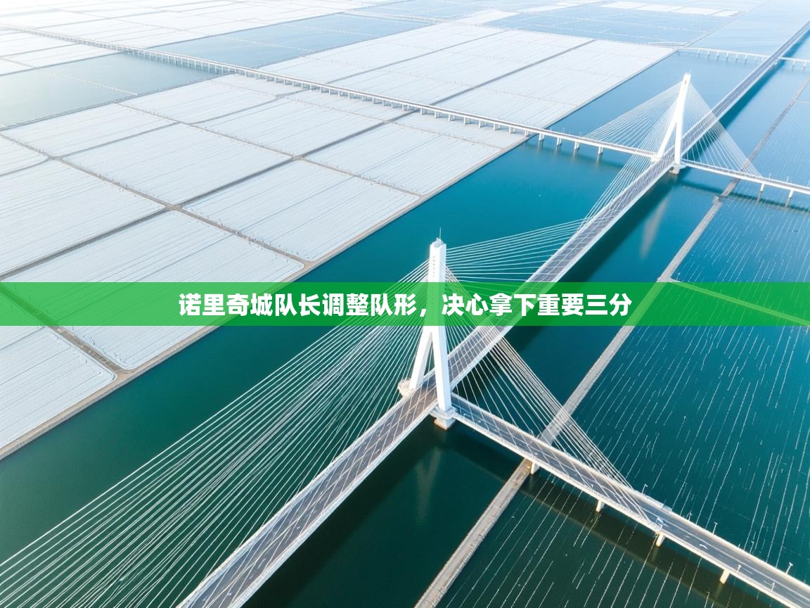 开云体育入口下载-诺里奇城队长调整队形,决心拿下重要三分 第2张