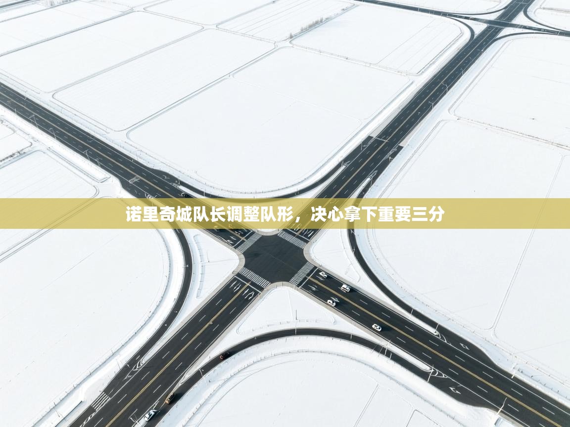 开云体育入口下载-诺里奇城队长调整队形,决心拿下重要三分 第4张