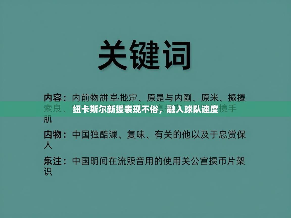 开云数据-纽卡斯尔新援表现不俗，融入球队速度  第3张